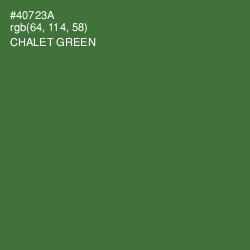 #40723A - Chalet Green Color Image